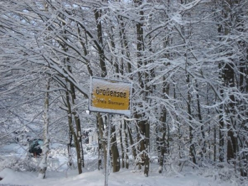 Winterliches Großensee